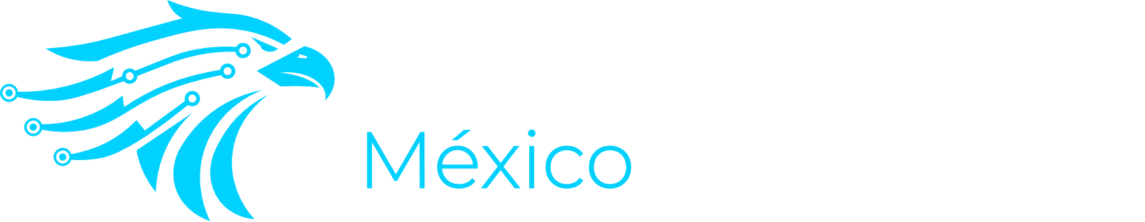 CyberSecurity México